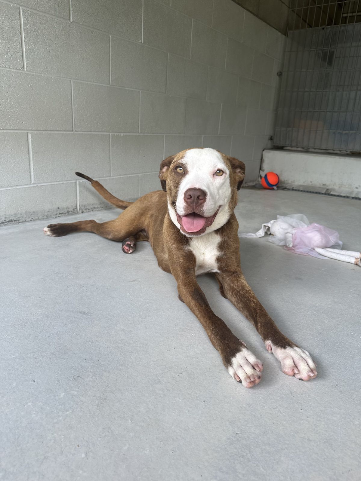 Gallery image: Princess Peach