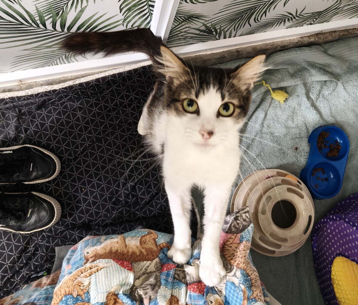 Gallery image: Jon Snow