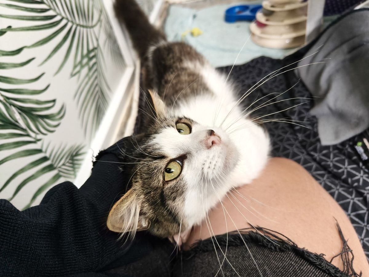 Gallery image: Jon Snow