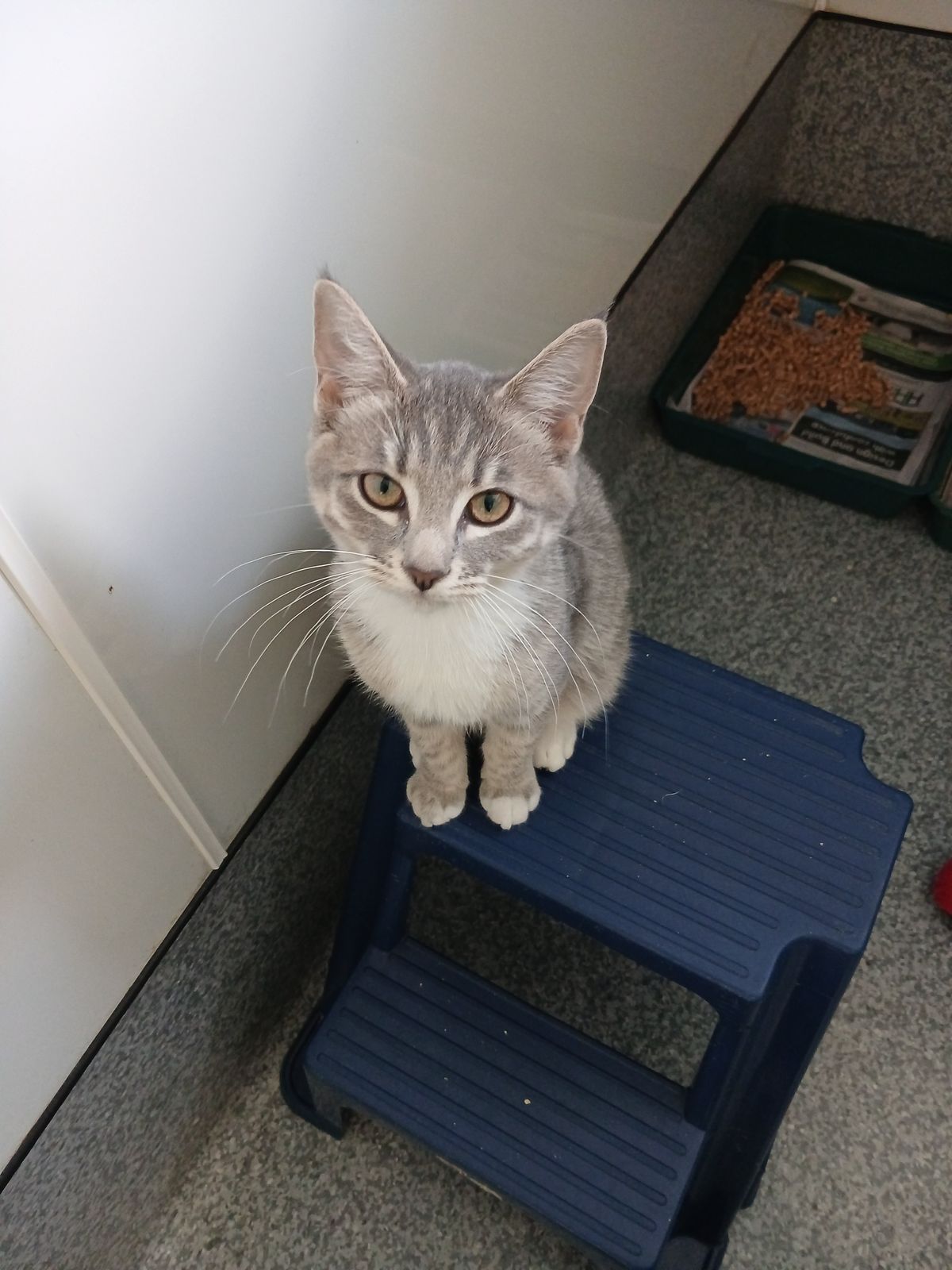 Gallery image: Grace