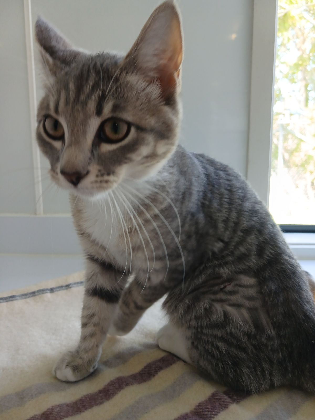 Gallery image: Grace