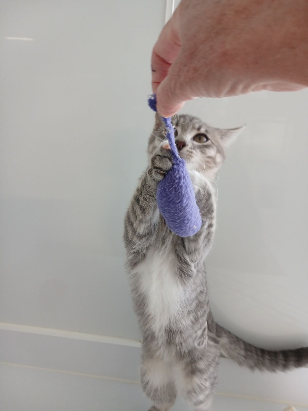 Gallery image: Grace