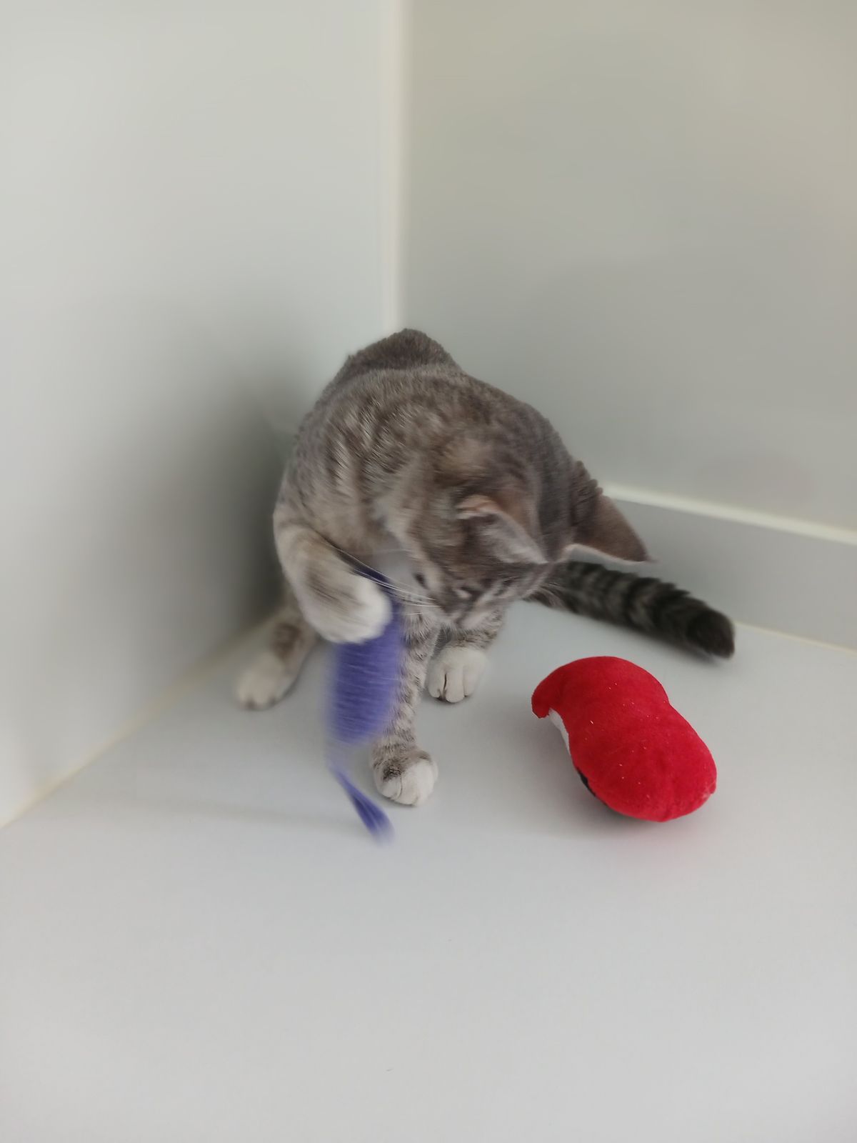 Gallery image: Grace