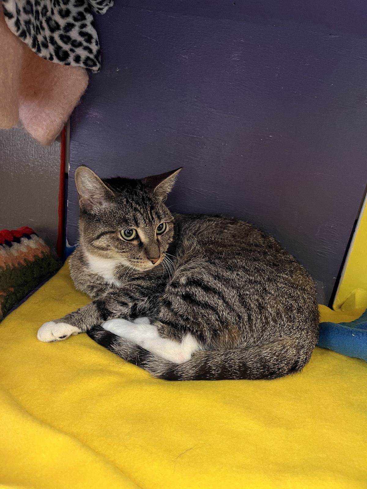 Gallery image: Estelle