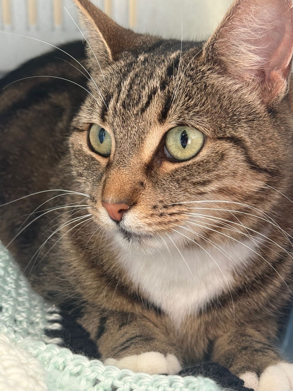 Gallery image: Robyn