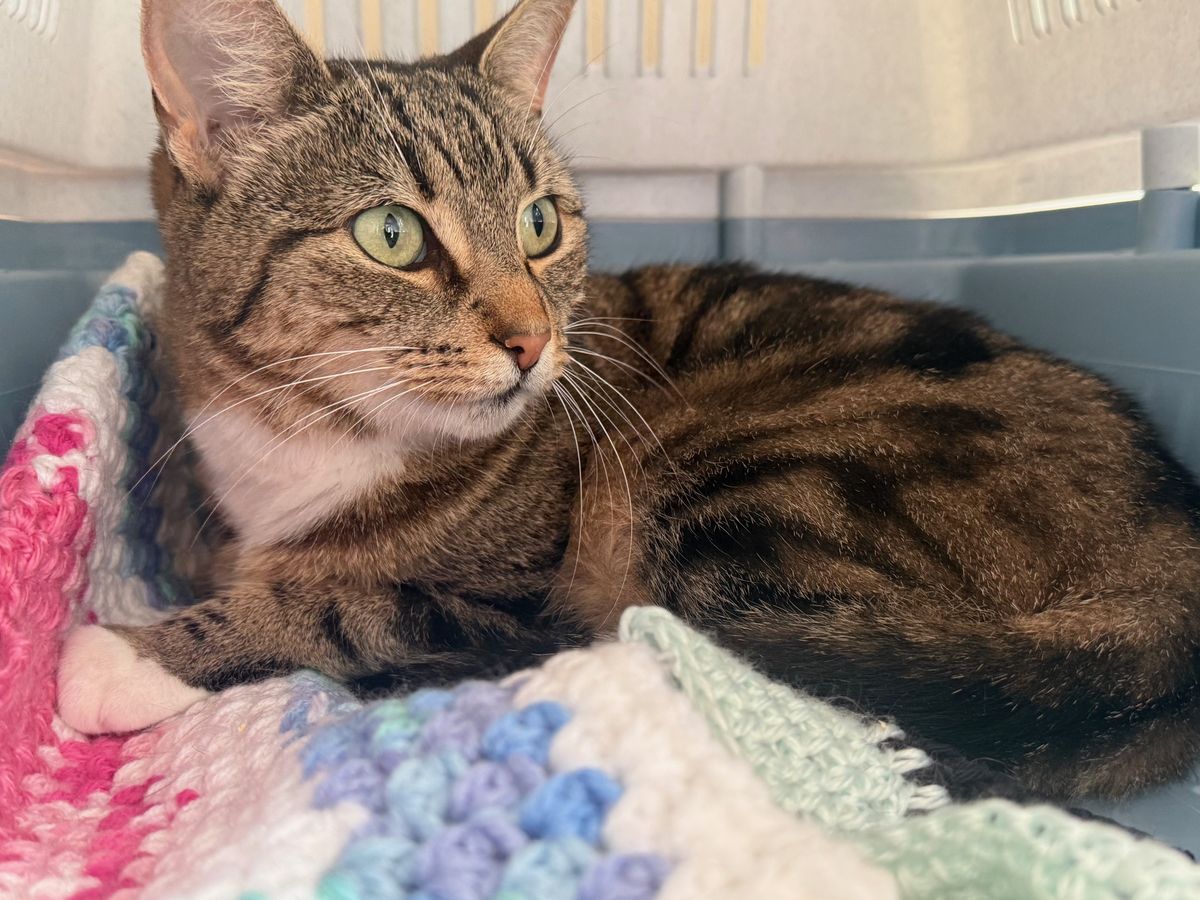 Gallery image: Robyn