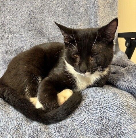 Gallery image: Kairo