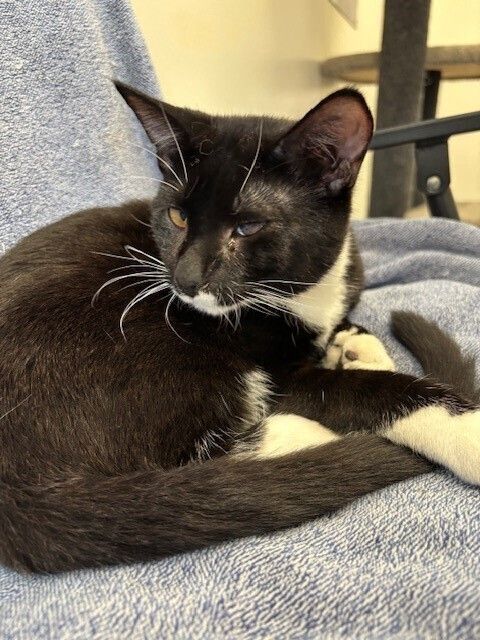 Gallery image: Kairo