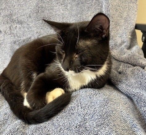 Gallery image: Kairo