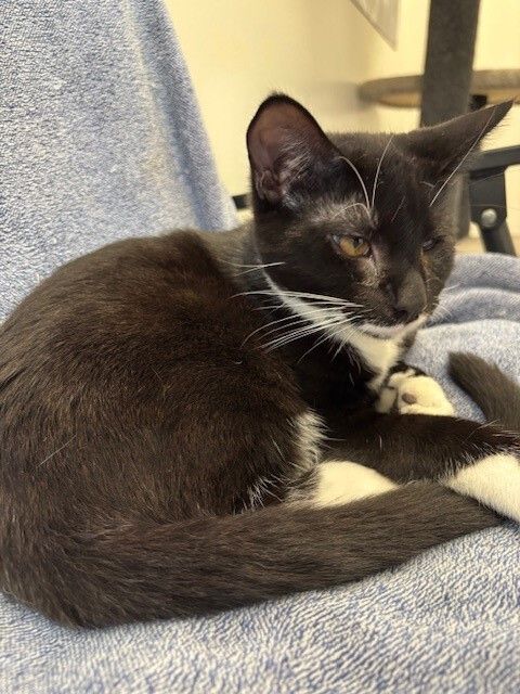 Gallery image: Kairo