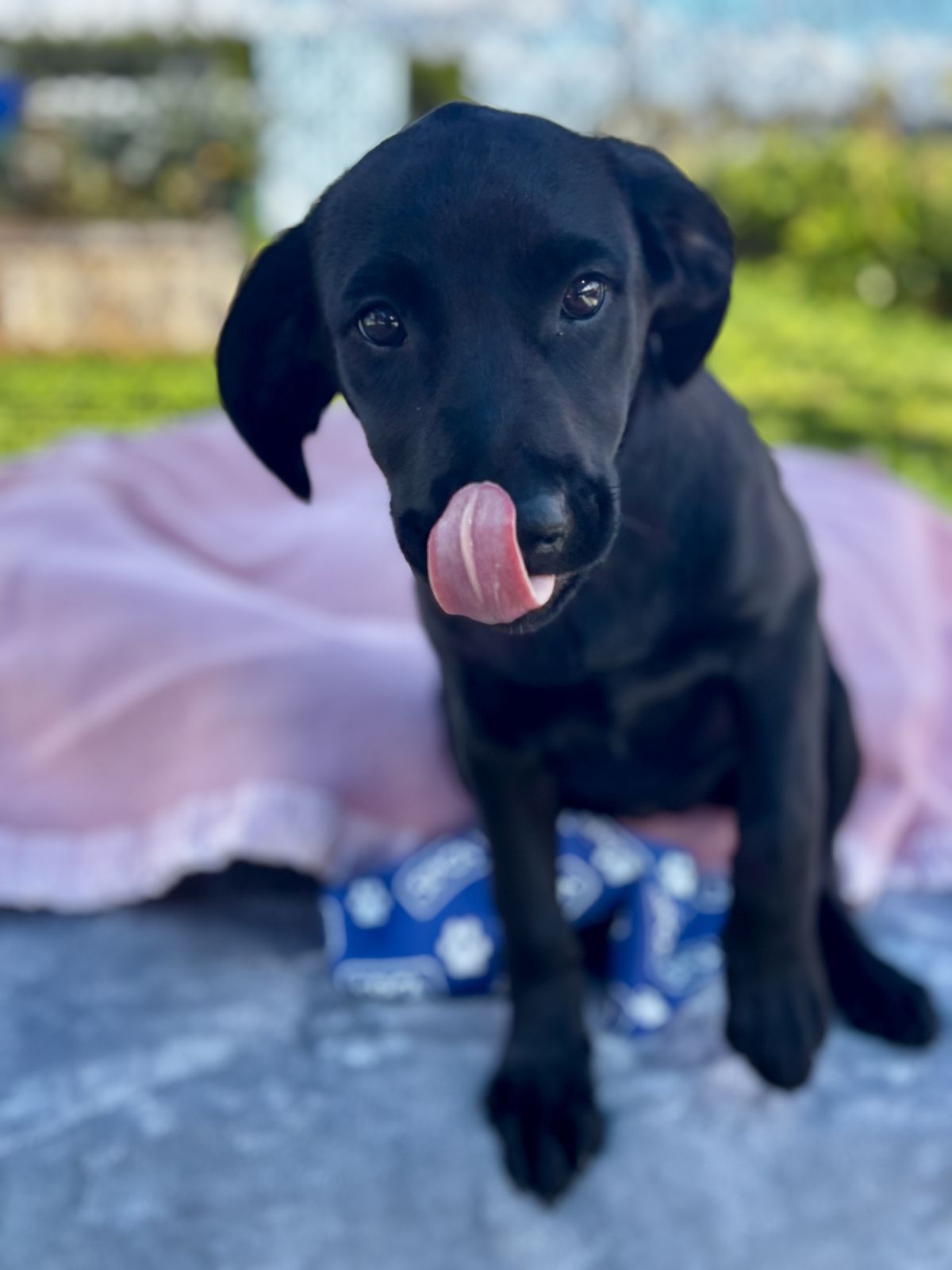 Gallery image: Minni 