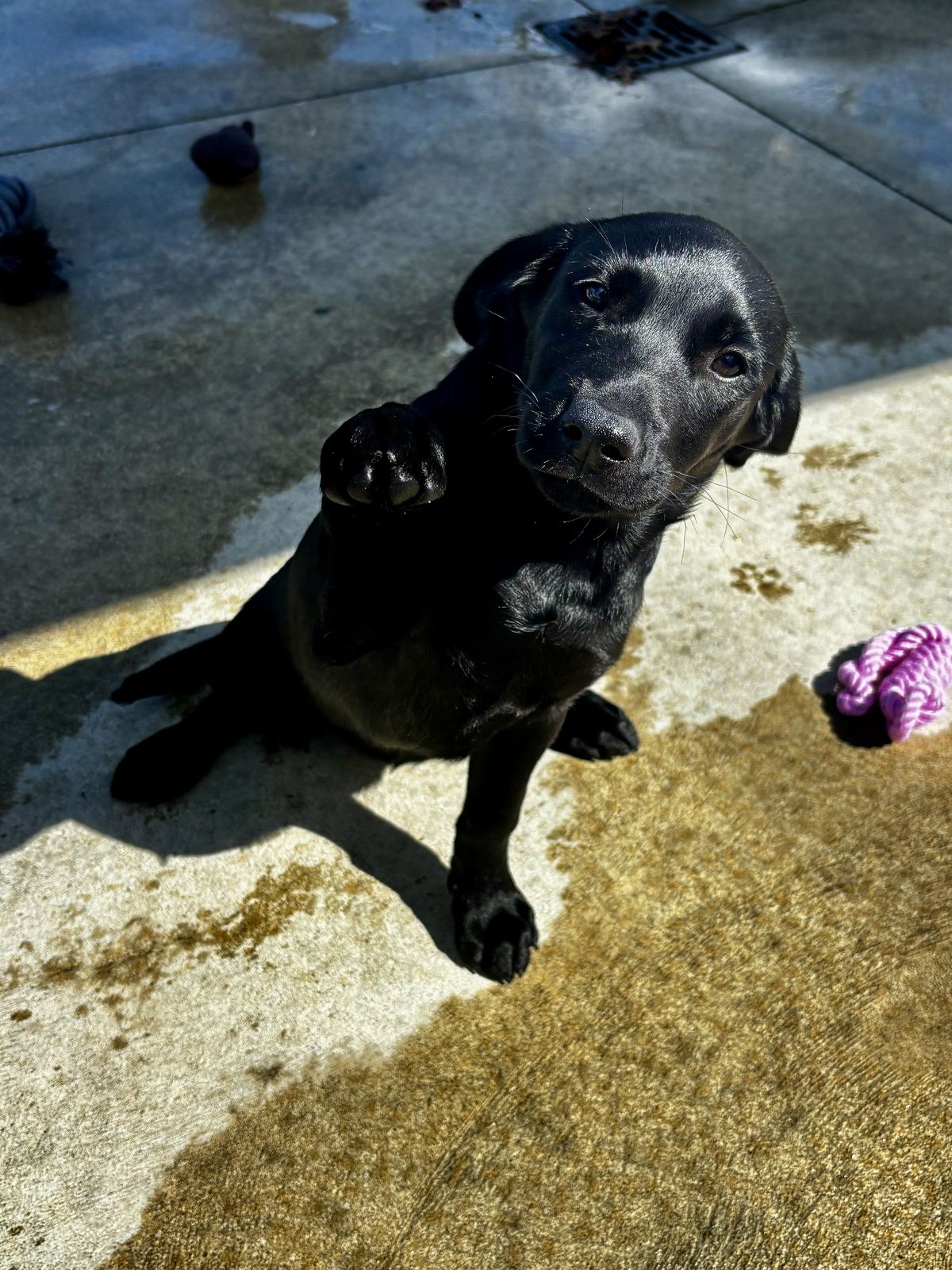 Gallery image: Minni 