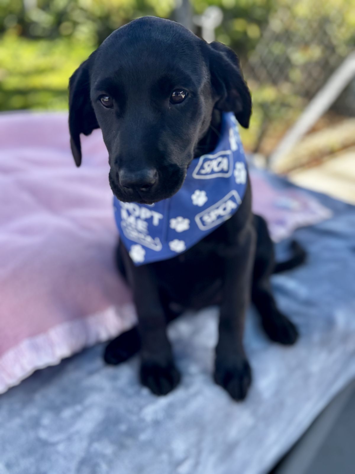 Gallery image: Minni 