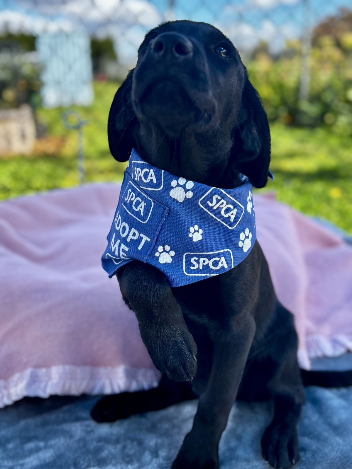 Gallery image: Minni 