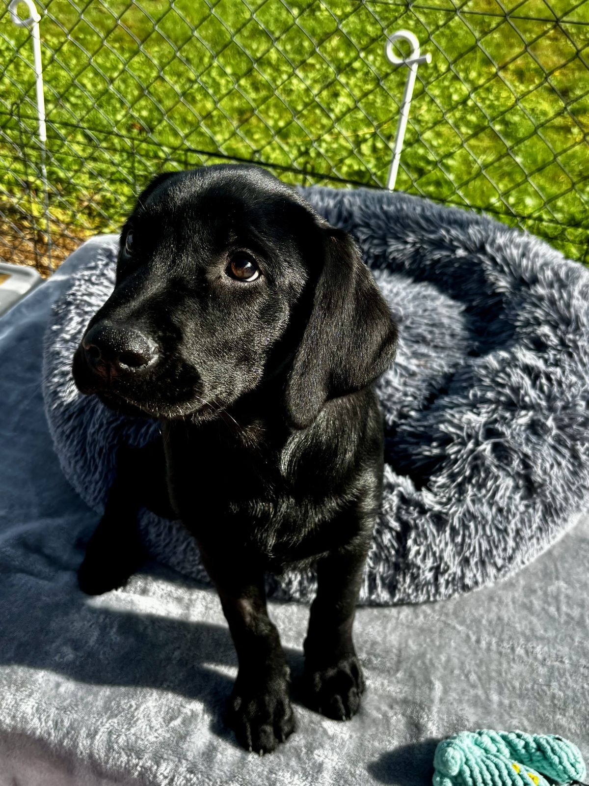 Gallery image: Titan