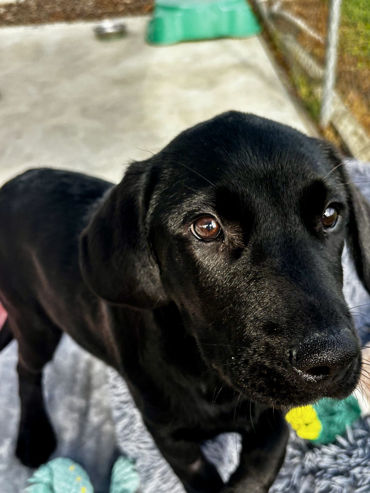 Gallery image: Titan