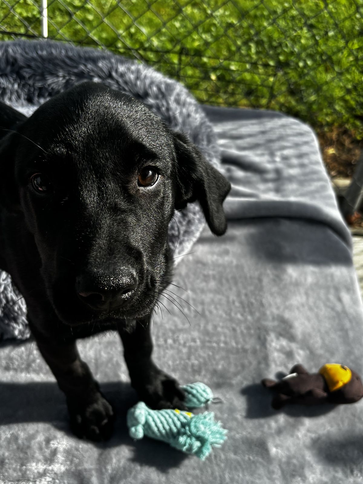 Gallery image: Titan