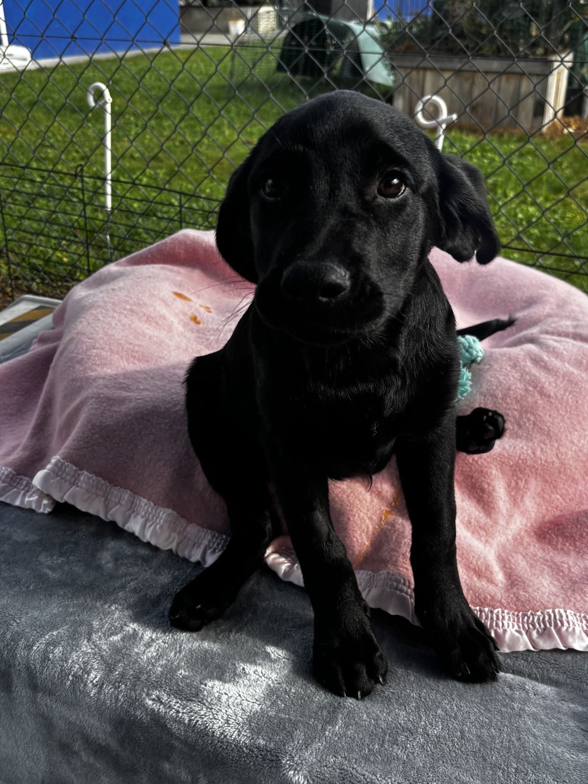 Gallery image: Titan