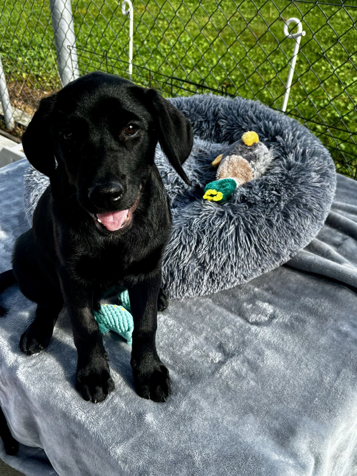 Gallery image: Titan