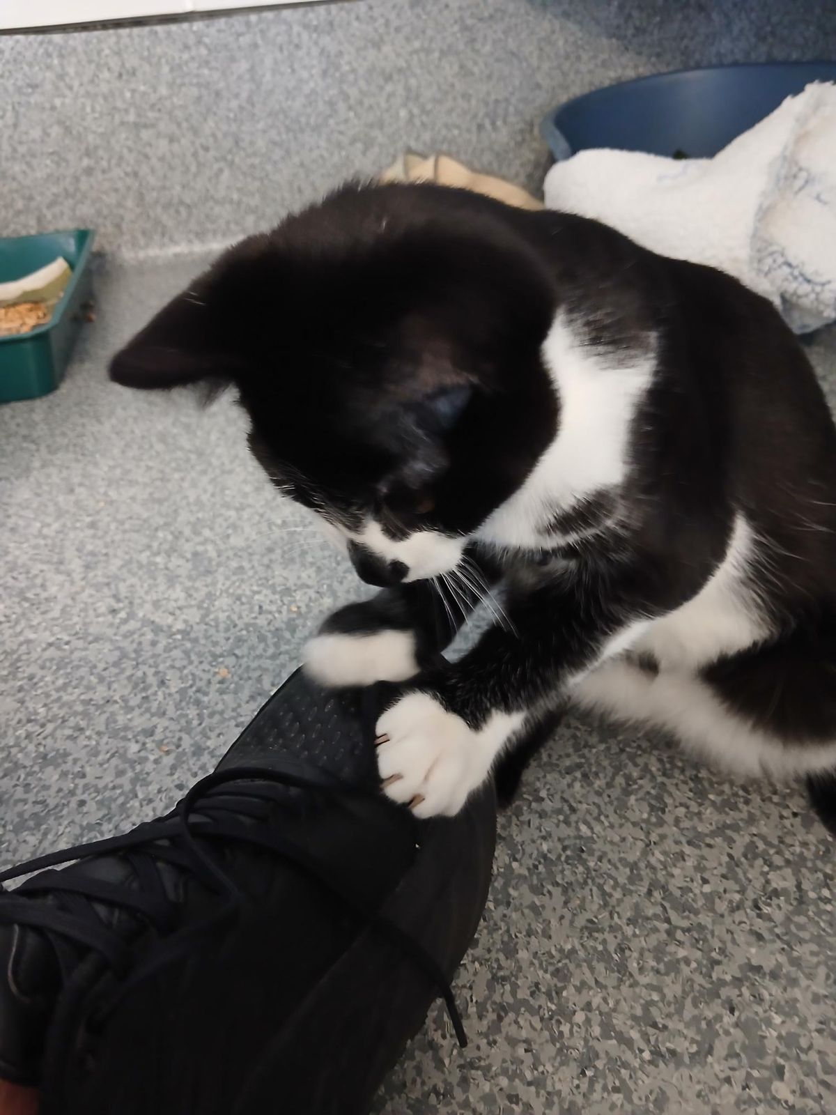 Gallery image: Leonardo