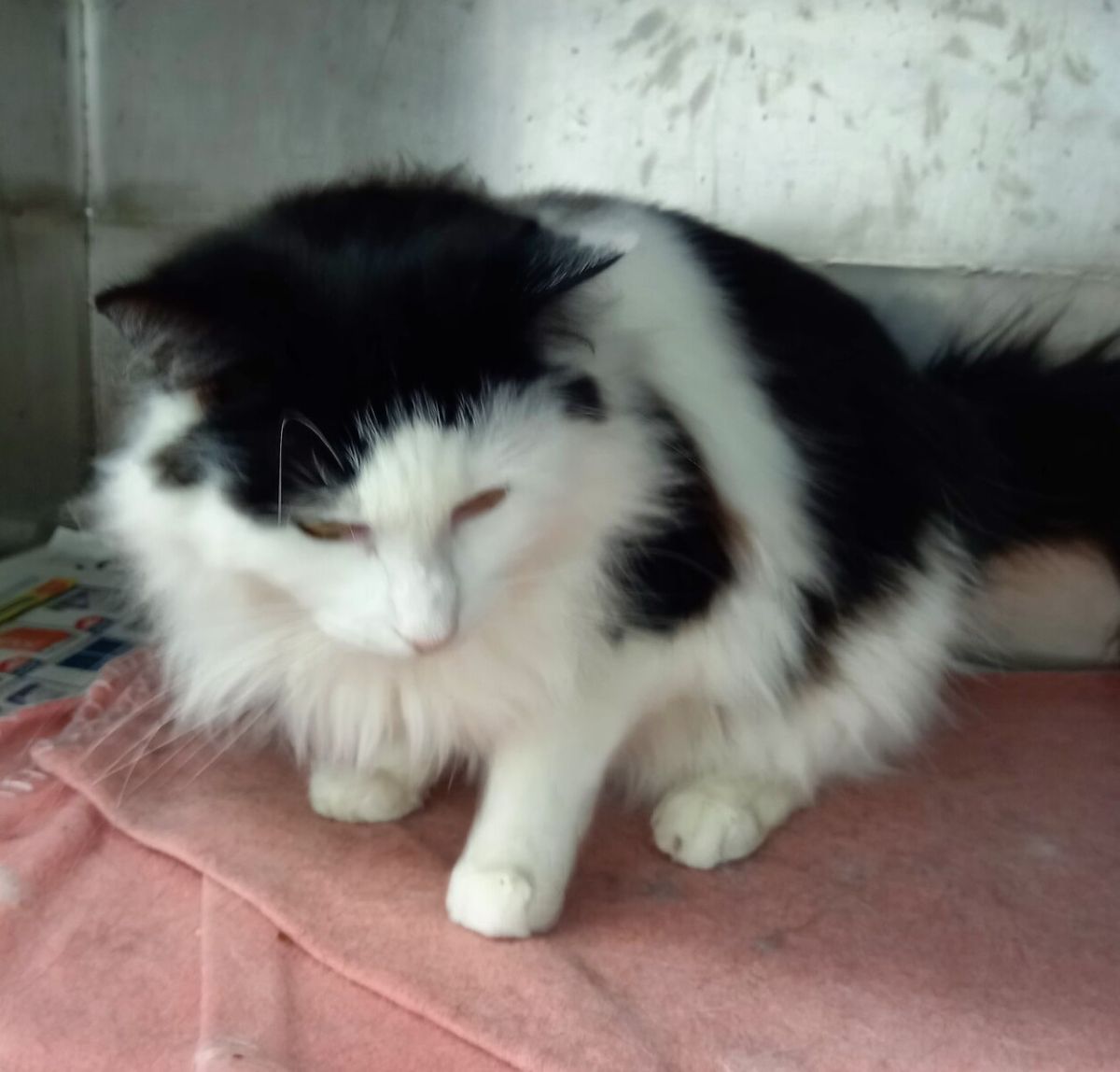 Gallery image: Heidi