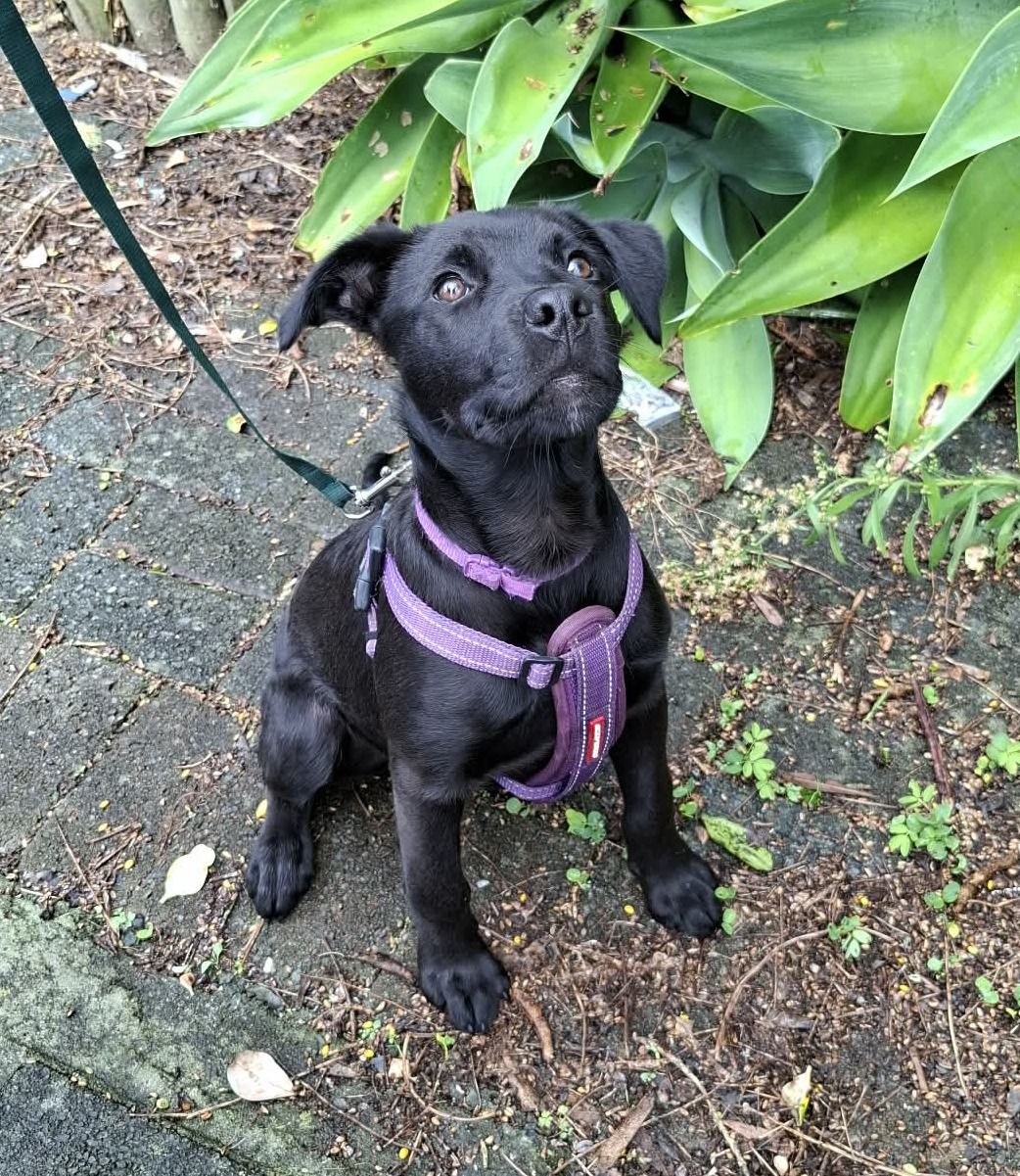 Gallery image: Lil Kim