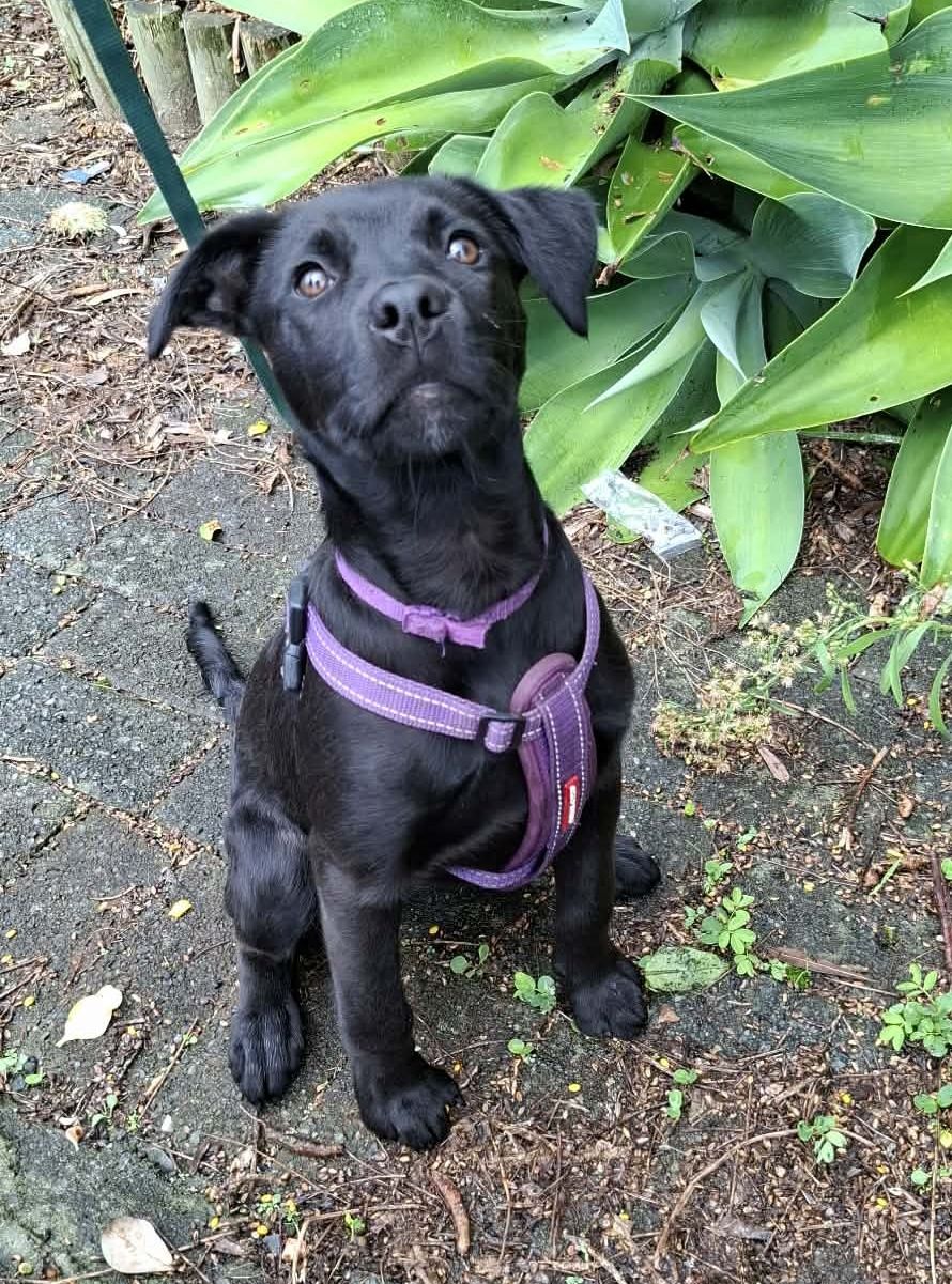 Gallery image: Lil Kim