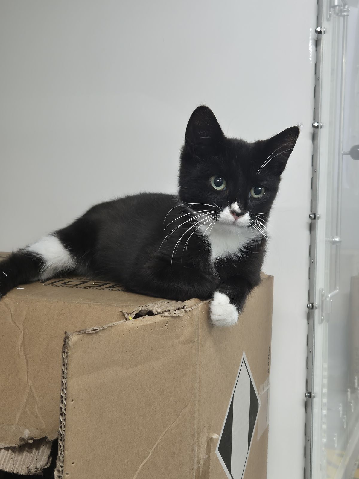 Gallery image: Harley Davidson