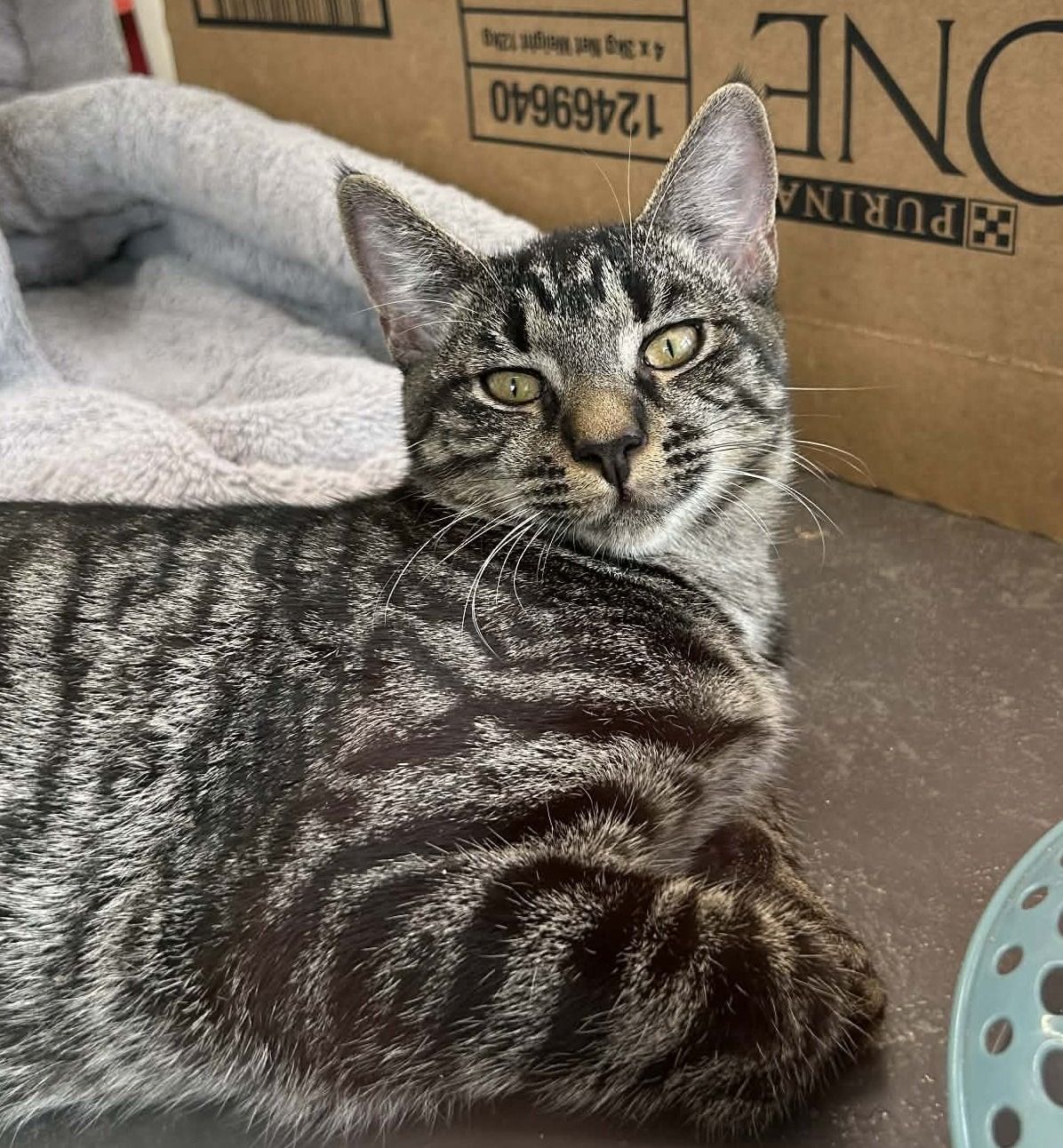 Gallery image: Monty