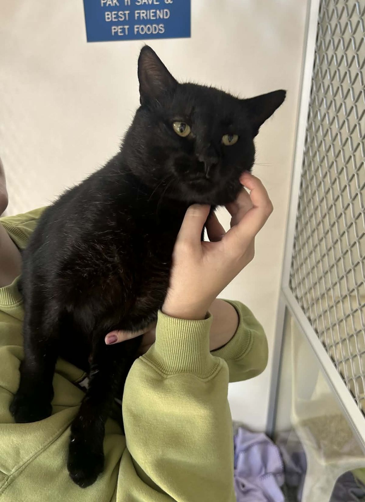 Gallery image: Major