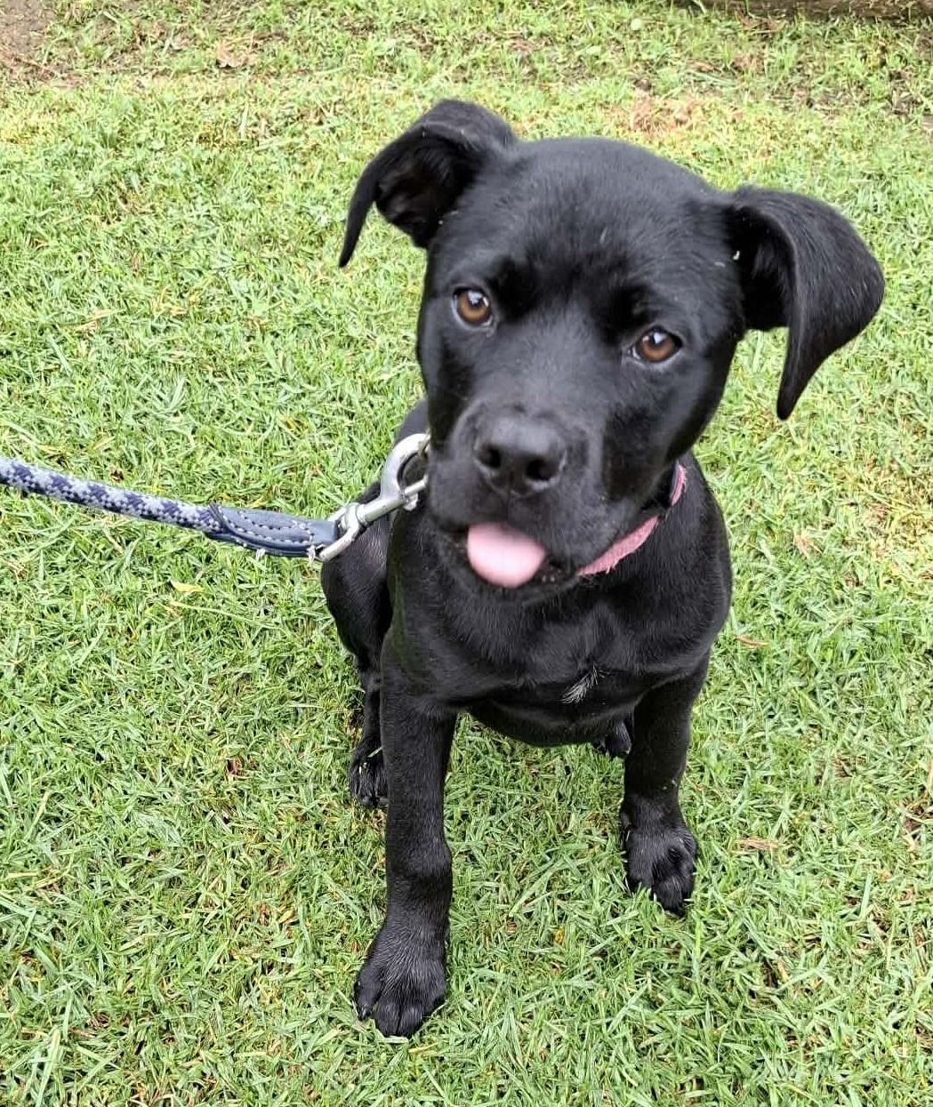 Gallery image: Cardi B