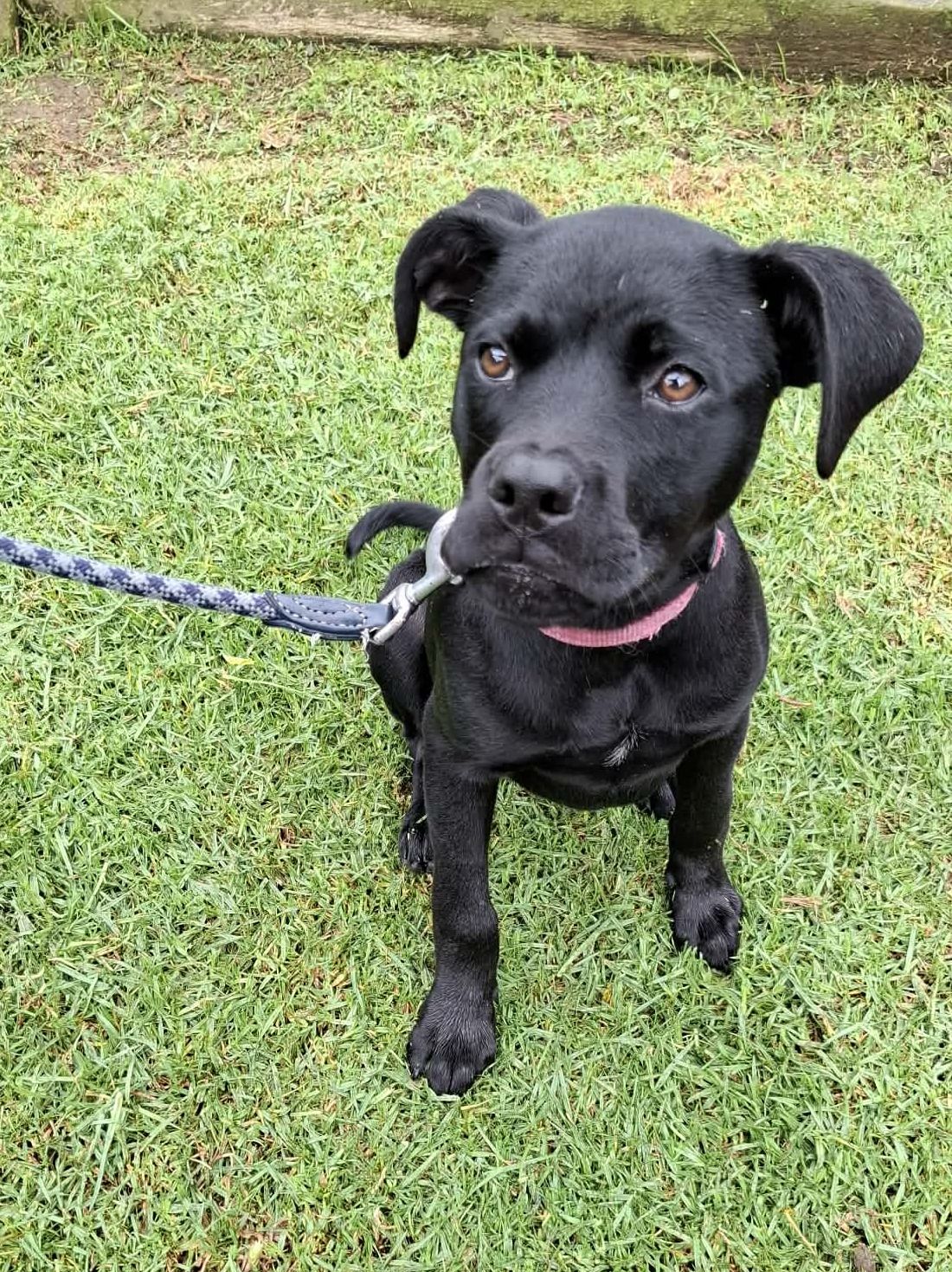 Gallery image: Cardi B