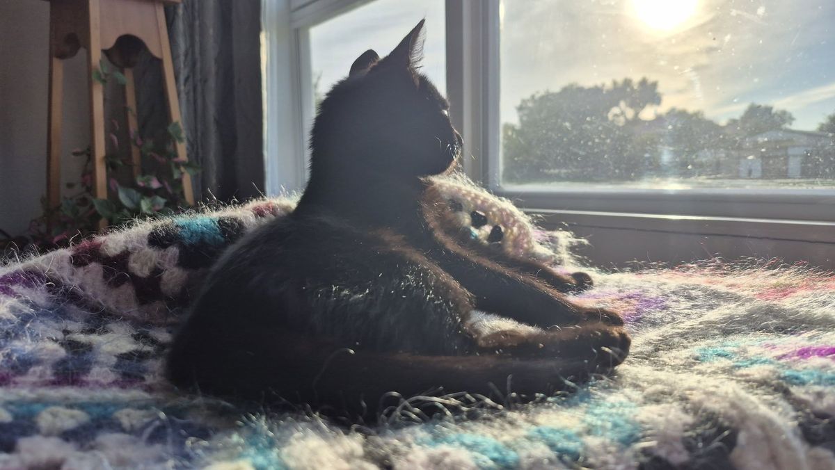 Gallery image: Picasso