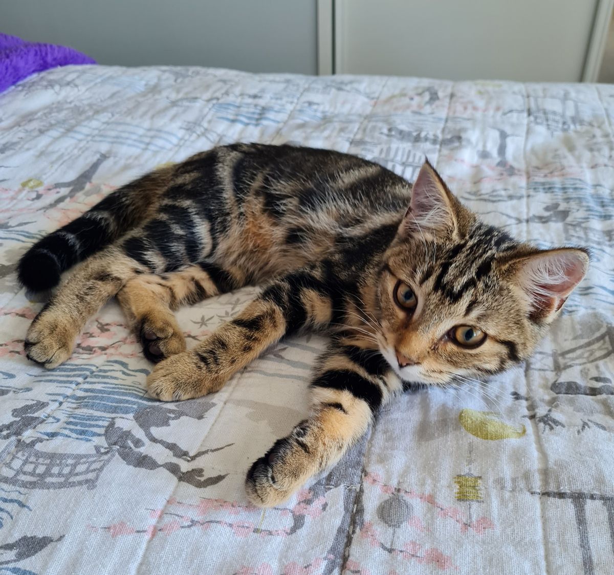 Gallery image: Freya