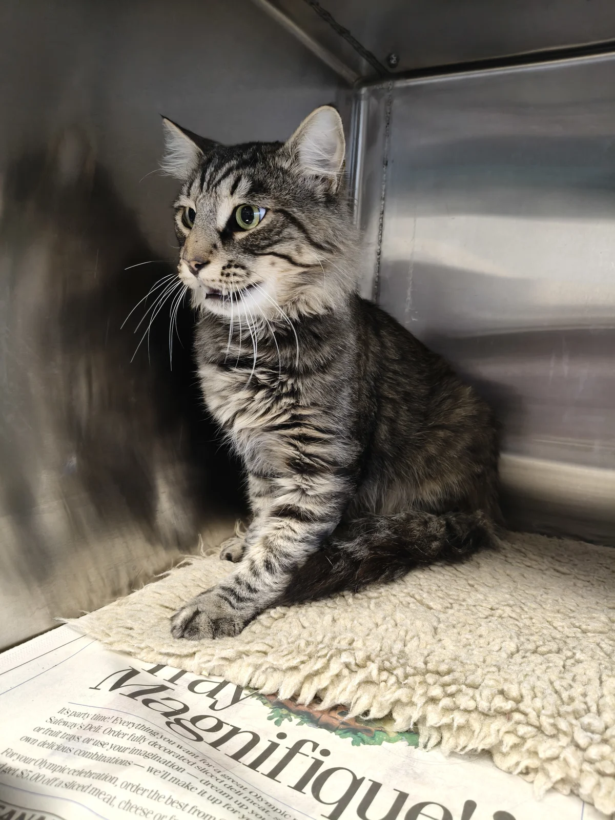 Gallery image: Jerry Seinfeld