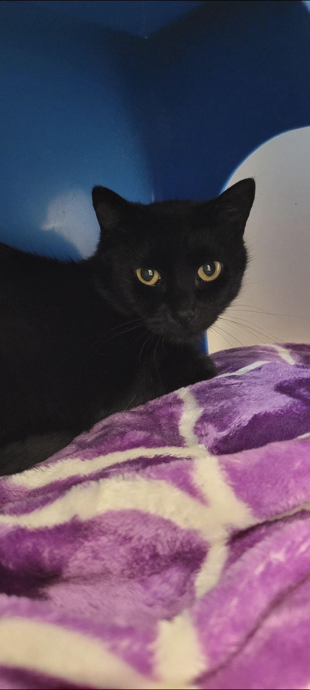 Gallery image: Espresso