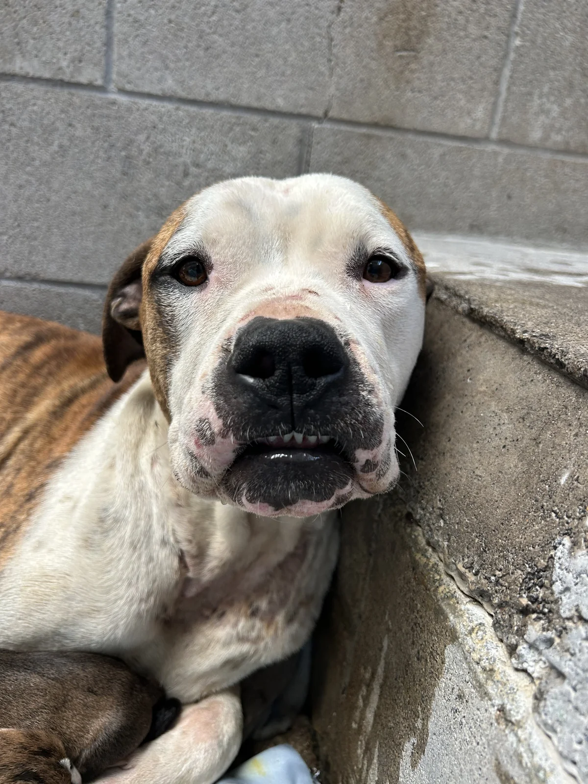 Gallery image: Lillian