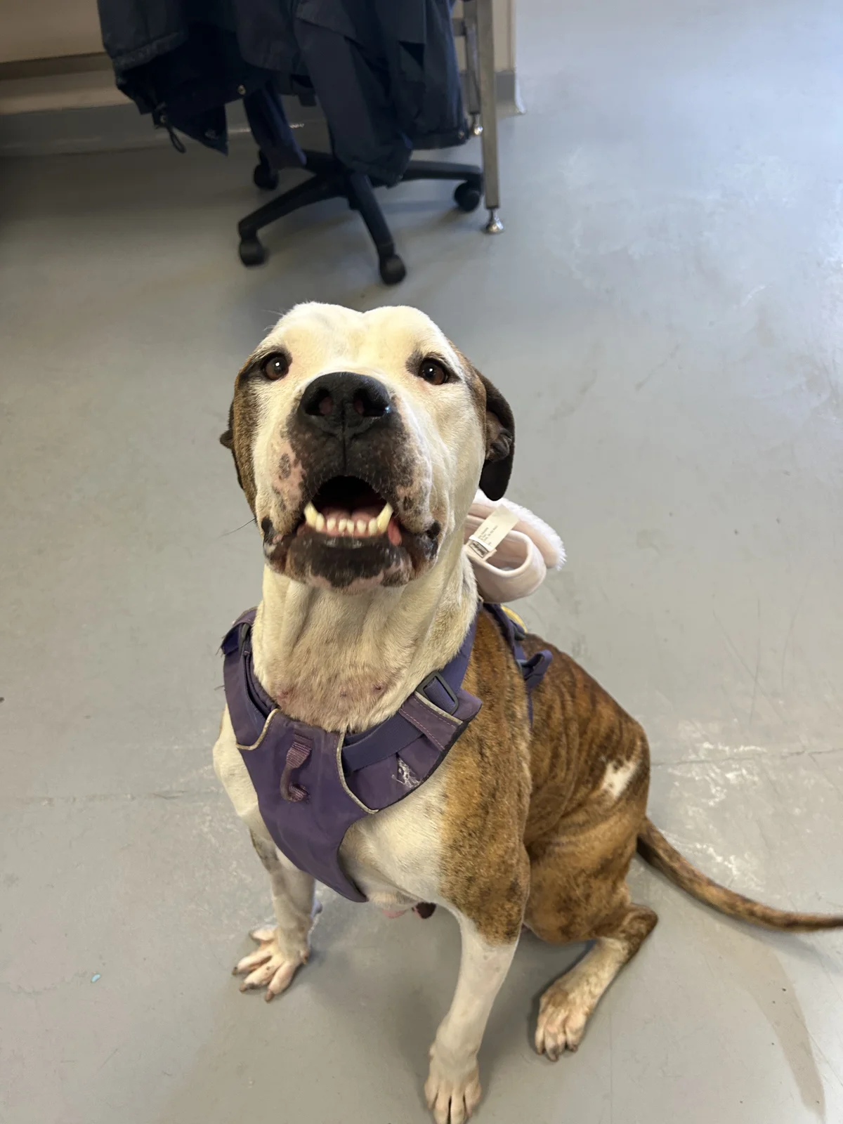 Gallery image: Lillian