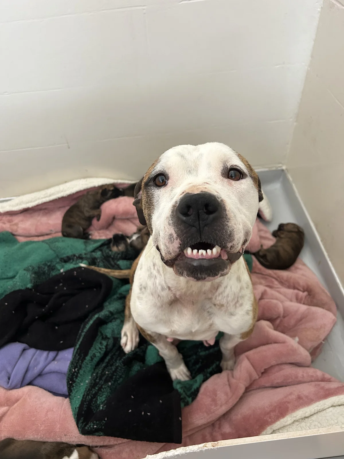 Gallery image: Lillian