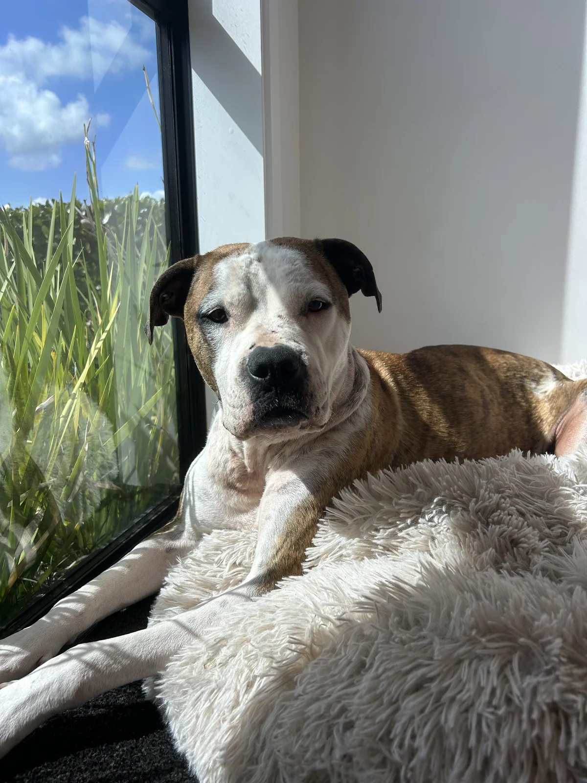 Gallery image: Lillian