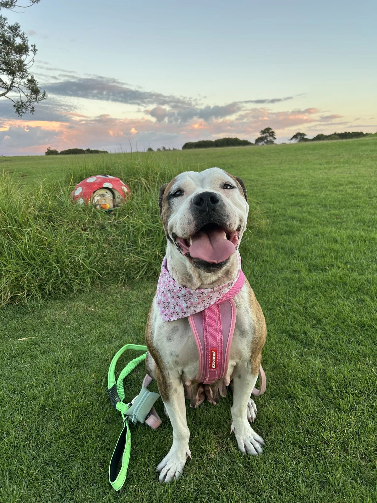 Gallery image: Lillian