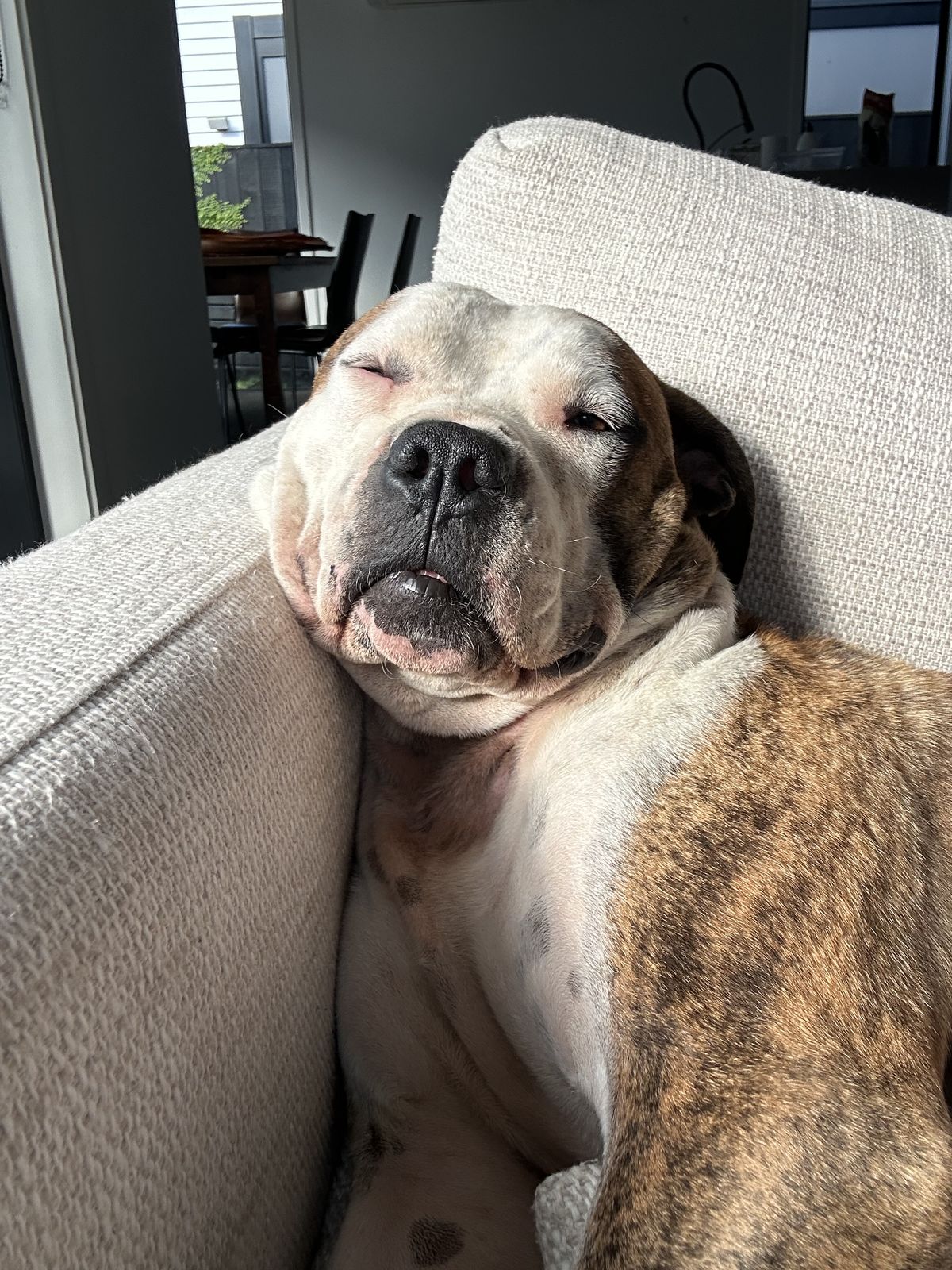 Gallery image: Lillian