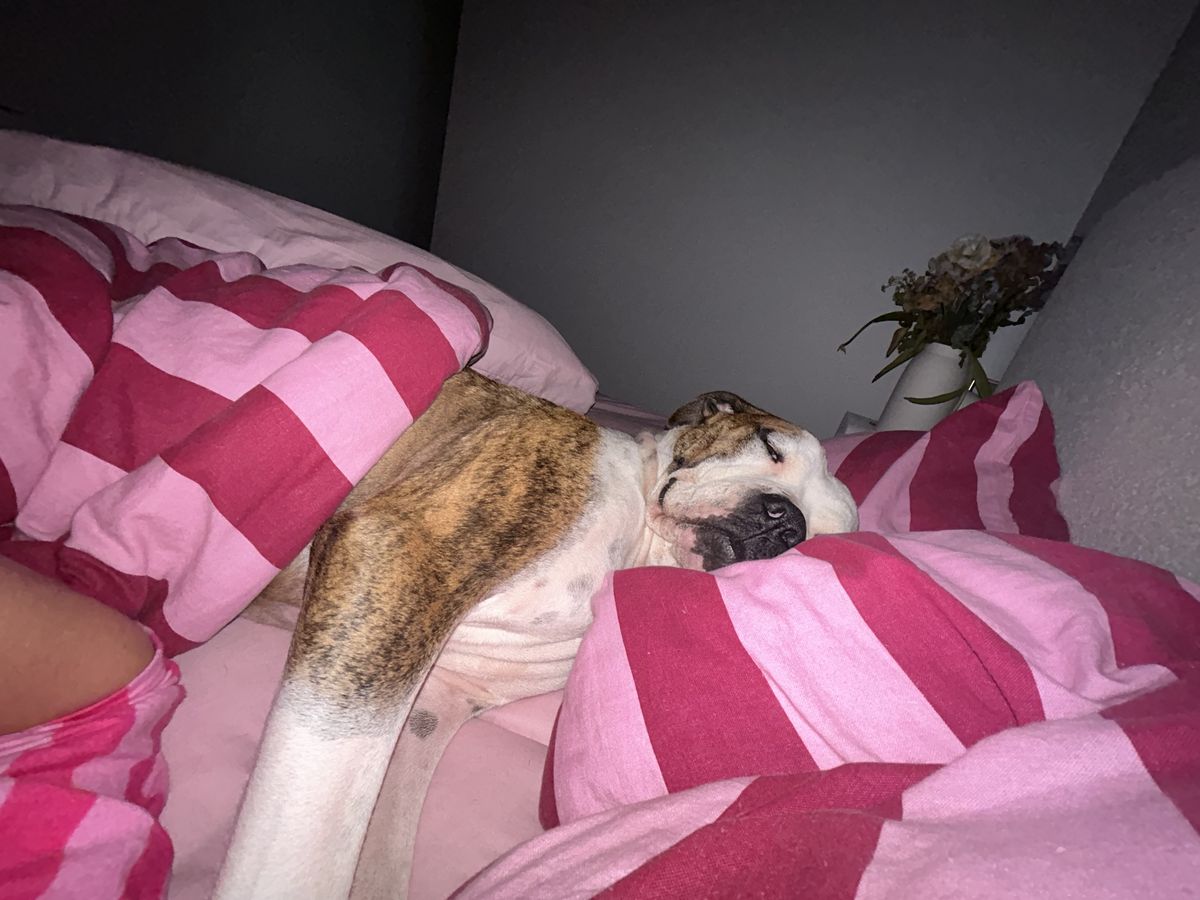 Gallery image: Lillian