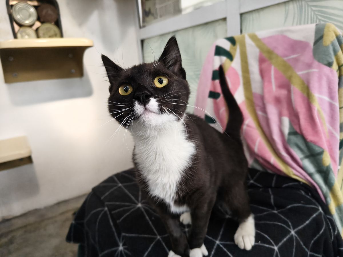 Gallery image: Miranda