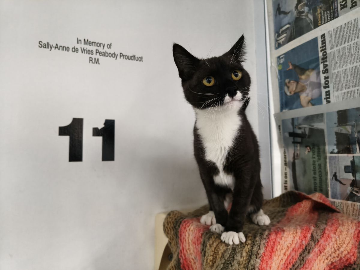 Gallery image: Miranda