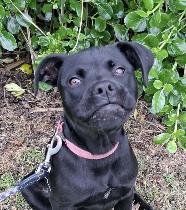 Gallery image: Cardi B