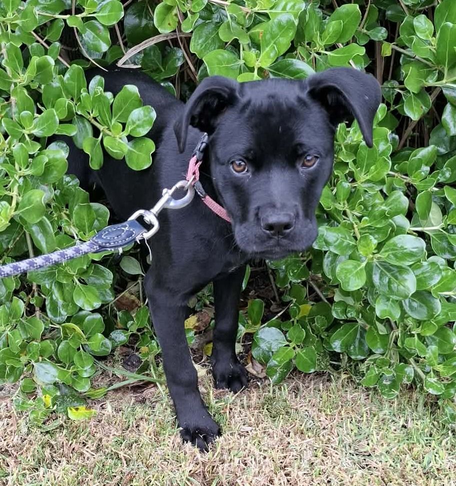 Gallery image: Cardi B