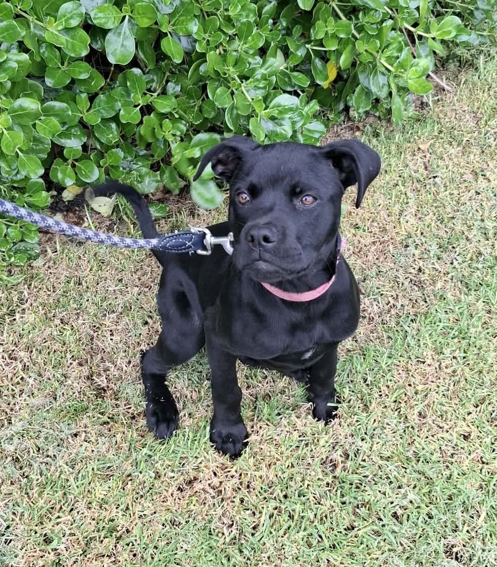 Gallery image: Cardi B