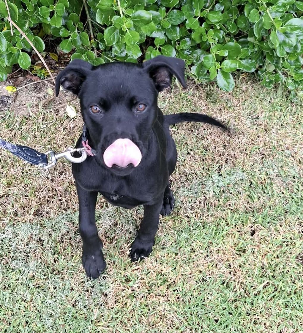 Gallery image: Cardi B