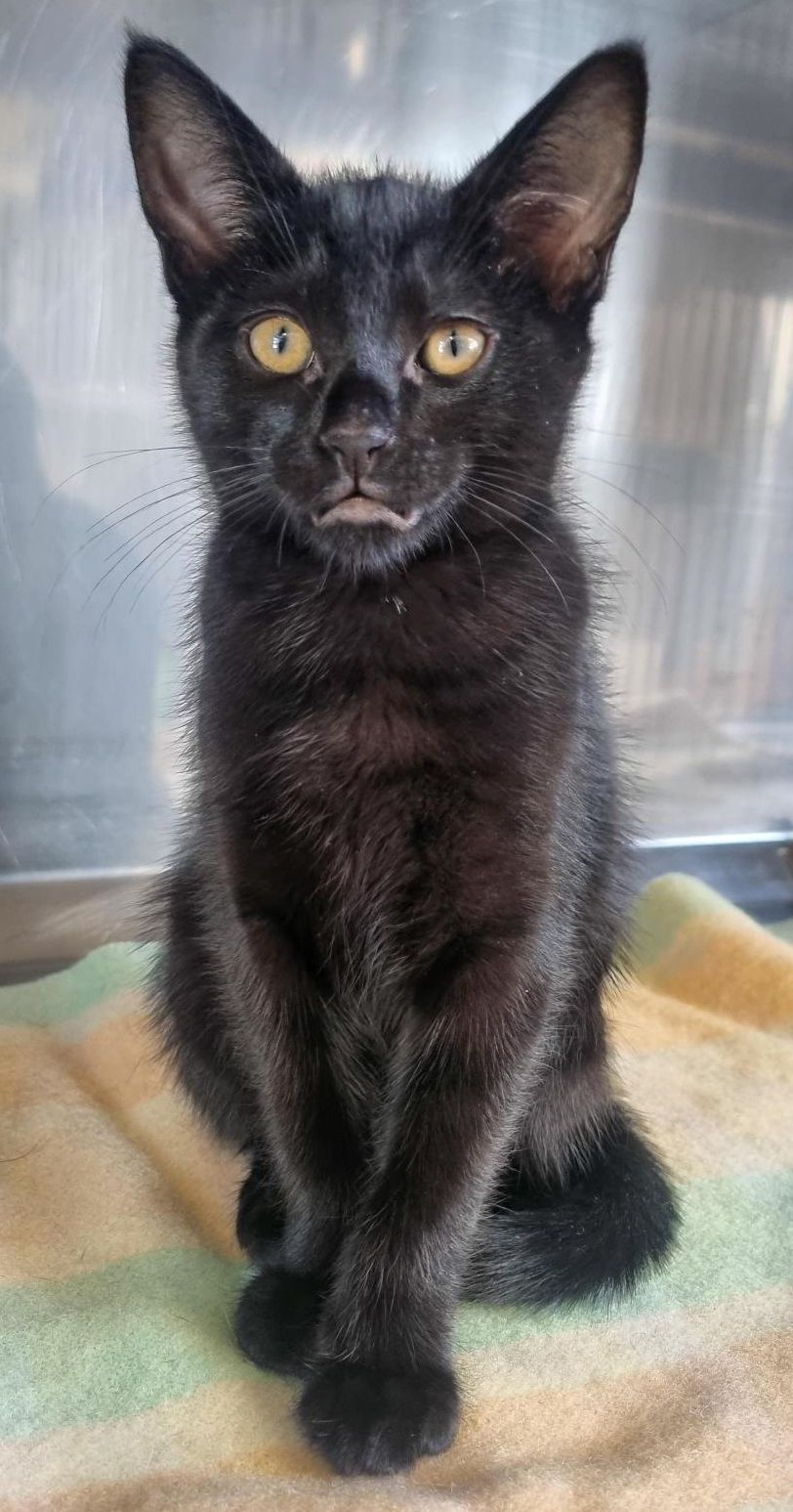 Gallery image: Harmony